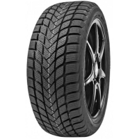 Delinte Winter WD6 225/55 R16 99V