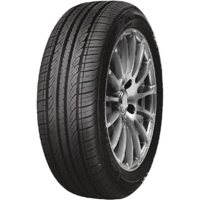 DoubleStar DH01 205/55 R16 91V