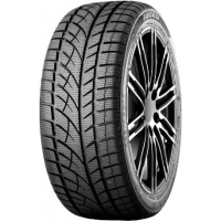 Evergreen Winter EW66 225/50 R17 98H