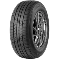 Fronway Ecogreen 66 195/55 R16 87V