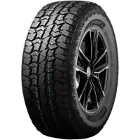 DoubleStar W01 225/65 R17 102Q