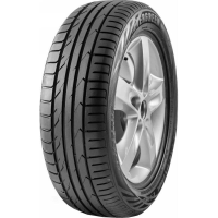 Evergreen DynaControl ES880 225/45 R19 96W XL