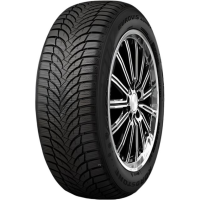 Roadstone Eurovis Alpine 2 195/55 R16 87T