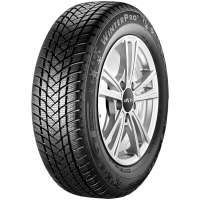 GT Radial WinterPro 2 205/55 R17 95H XL