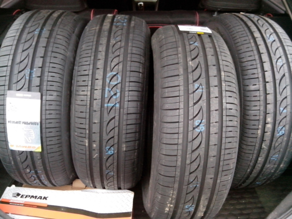 Formula Energy 225/55 R19 99V
