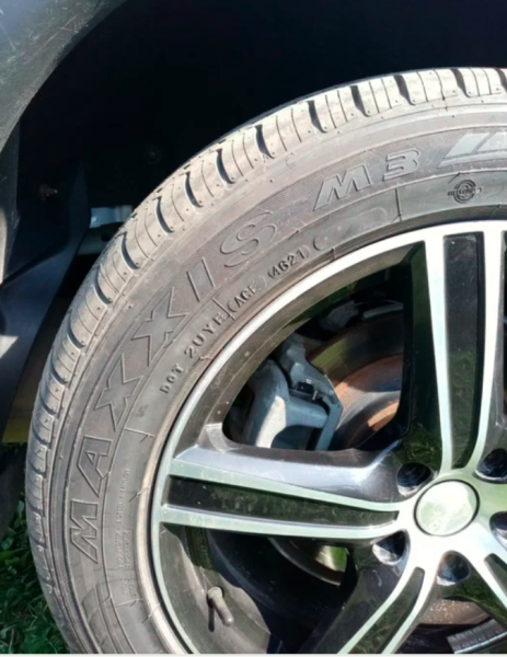 Maxxis Bravo HP-M3 225/55 R19 99V XL